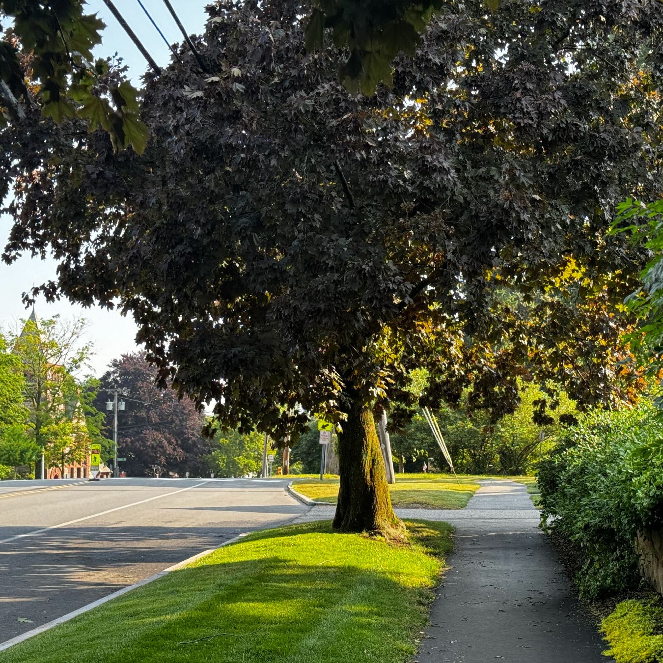 Central Street Square