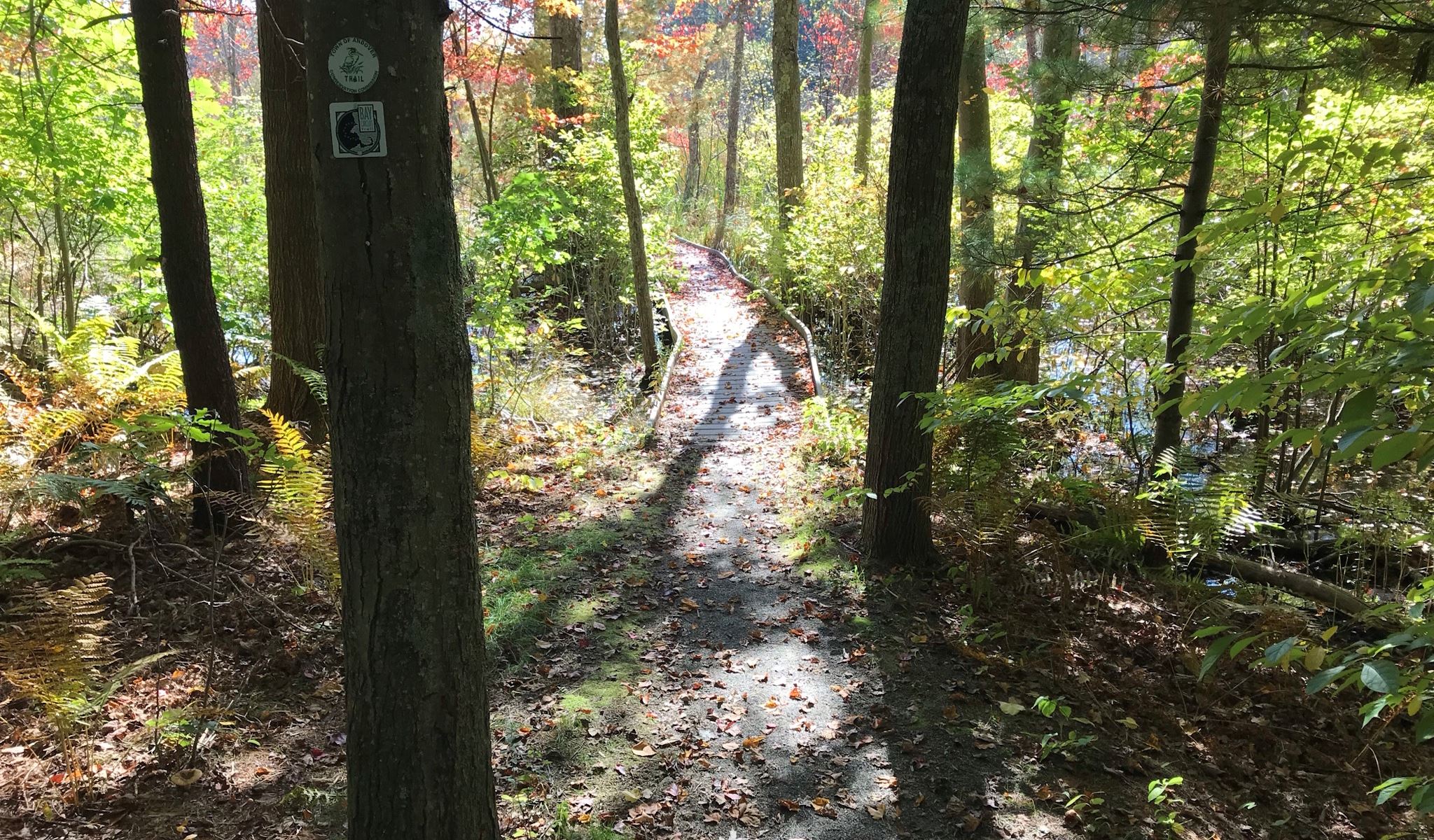 Boardwalk Bay Circuit Trail