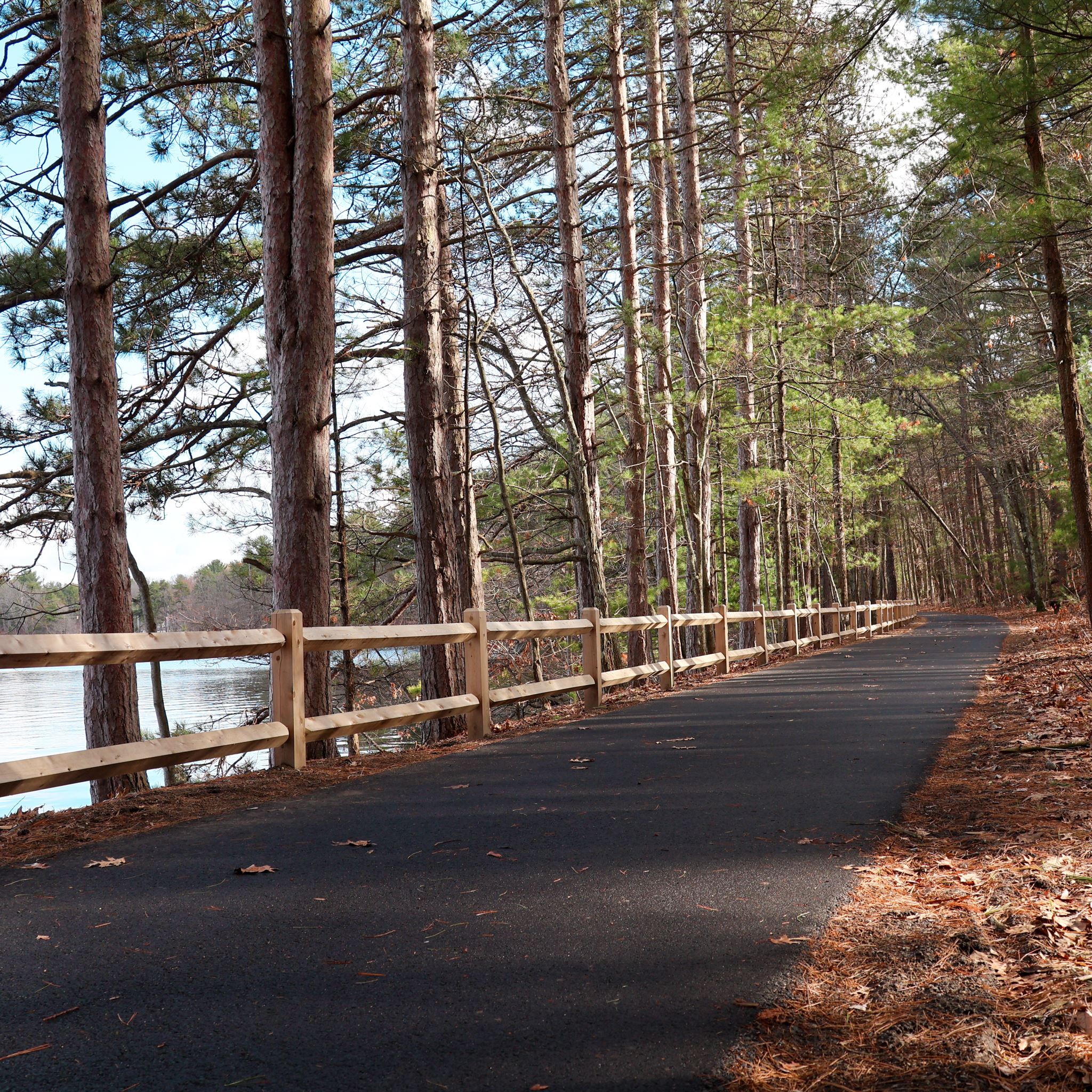 A paved trail through a wooded area with a fence along its edge, next to a pond.