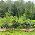 Virginia Hammond Reservation and the Andover Community Garden