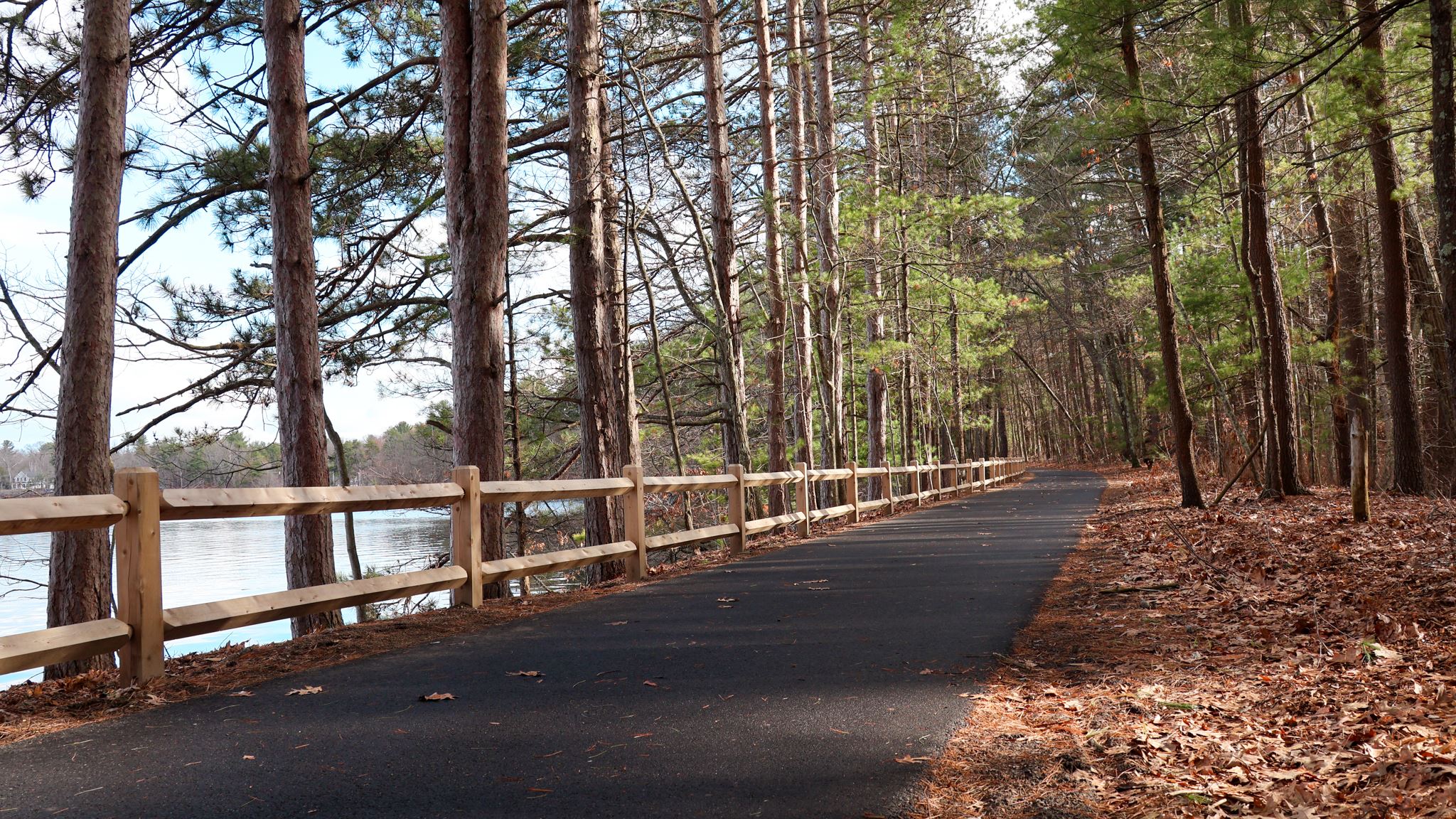 Haggetts Pond Rail Trail-5